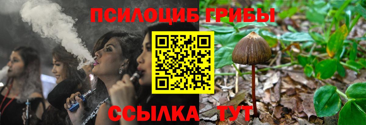Калининград  Псилоцибиновые грибы Magic Shrooms  Вход с VPN  Псилоцибиновые грибы мицелий 